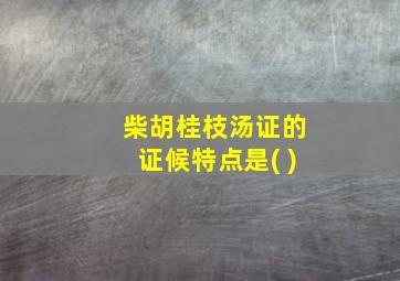 柴胡桂枝汤证的证候特点是( )